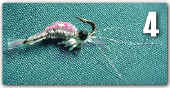 flies-Mysidshrimpshadfly-4.jpg (52271 bytes)